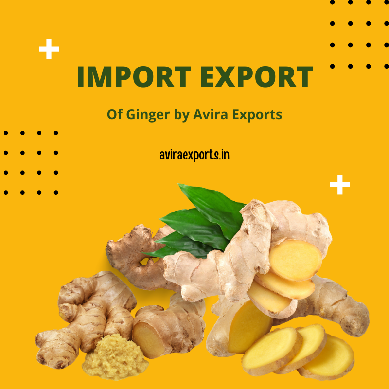 importexport-of-ginger